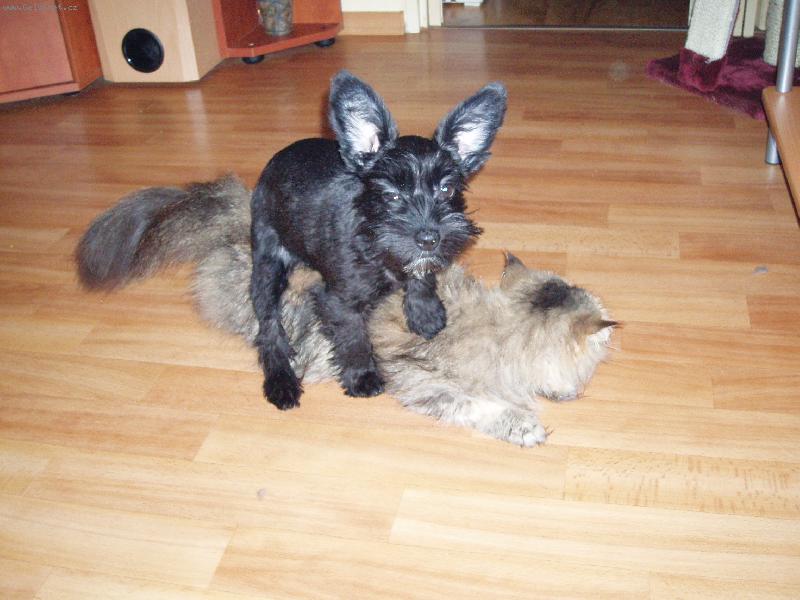 Foto: ... sem říkal že nemá šanci-... no comment