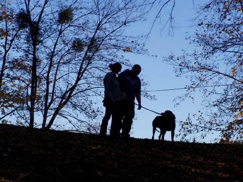 Foto: Pes a člověk-jedno odpoledne v Hradci nad Moravicí