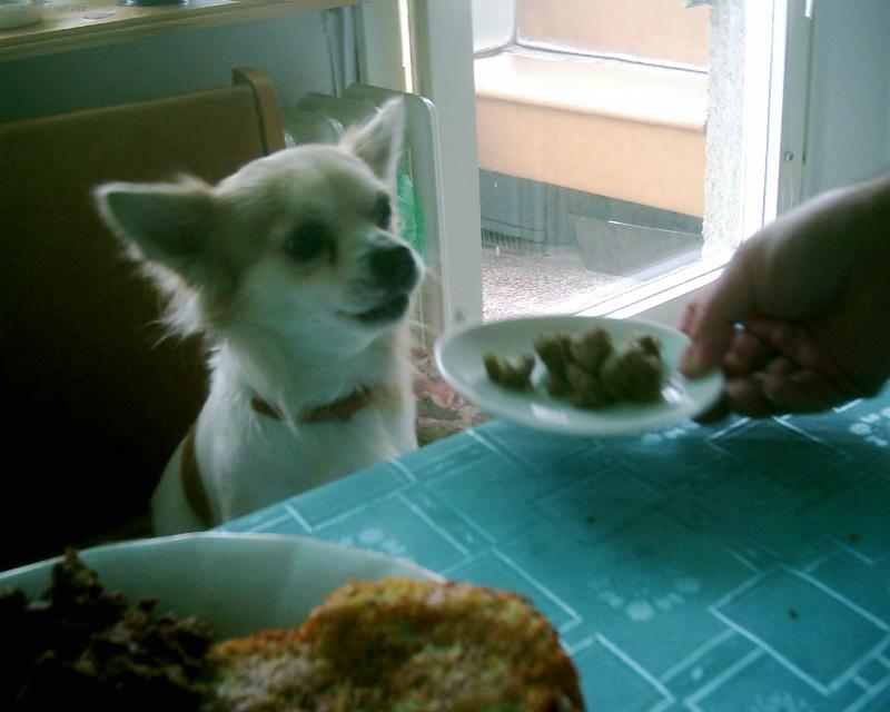 Foto: Monty-já taky dostanu??