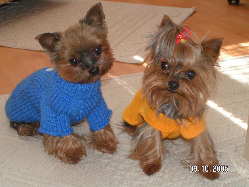 Foto: Nely a Joky-pěkně v teploučku :-)