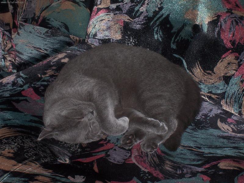 Foto: Amálka-nejlepší je, když jsou všichni v práci...