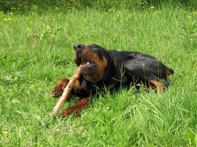 Foto: Moje oblíbená činnost na procházce