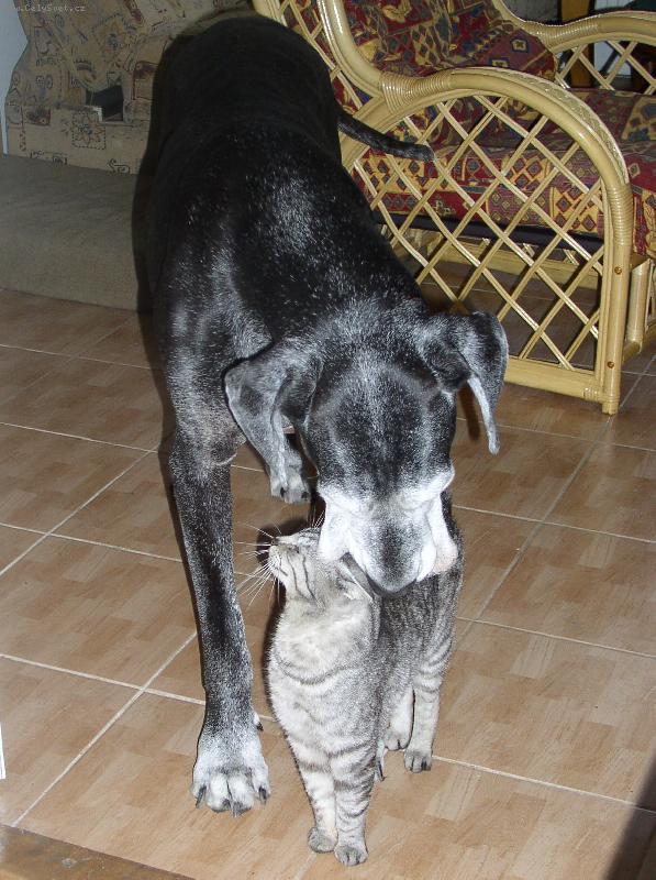 Foto: jsme oba šediví