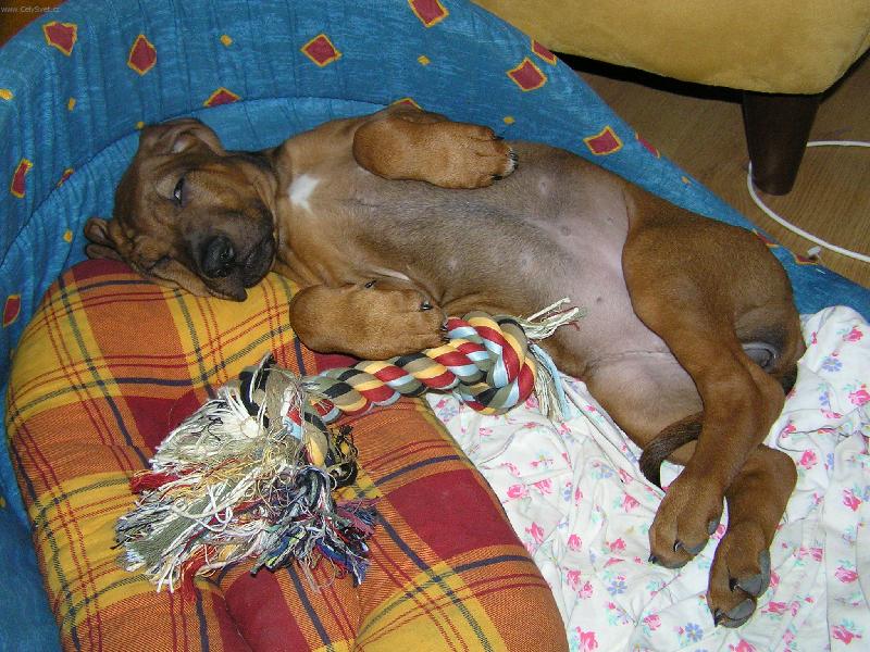 Foto: anny-dobrou noc