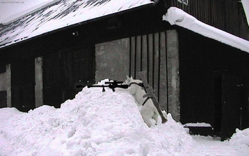 Foto: ostrý hlídač RIDDICK