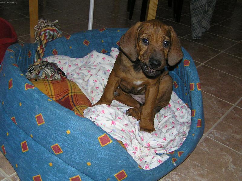 Foto: anny-Dej si na mě bacha