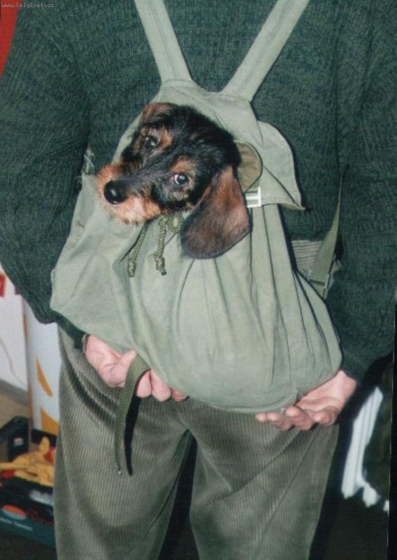 Foto: výhled z baohu-tak paníčku, jdeme na procházku