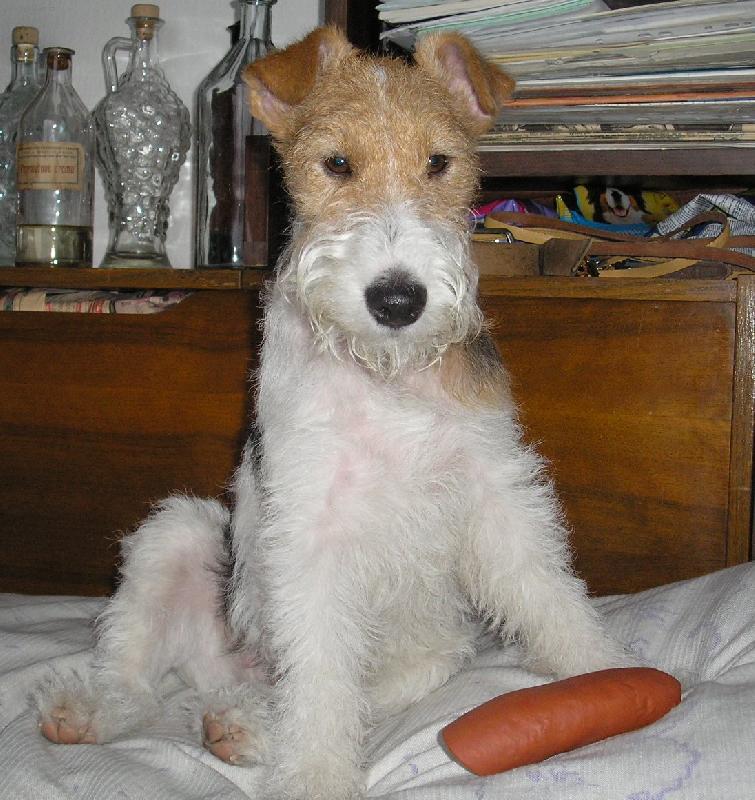 Foto: Akina-...toto je náš anjelik