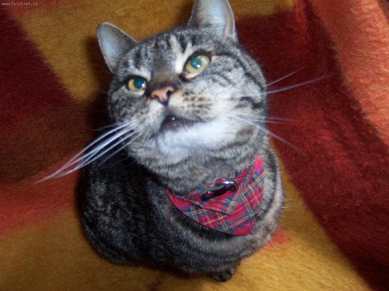 Foto: Jůlinka-kukuč této nezbednice