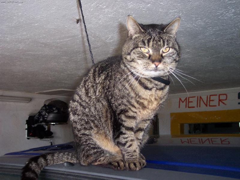 Foto: Julča-na autíčku