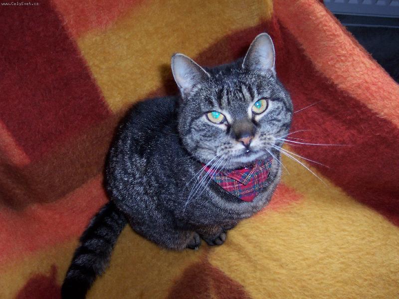 Foto: Můj miláček..-No není nádherná?