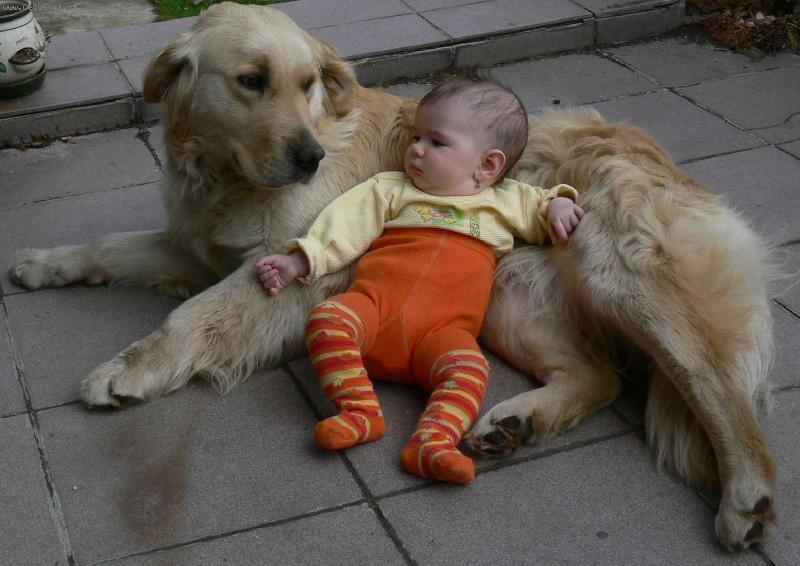 Foto: Chůva na hlídání aneb mám nové "štěňátko"