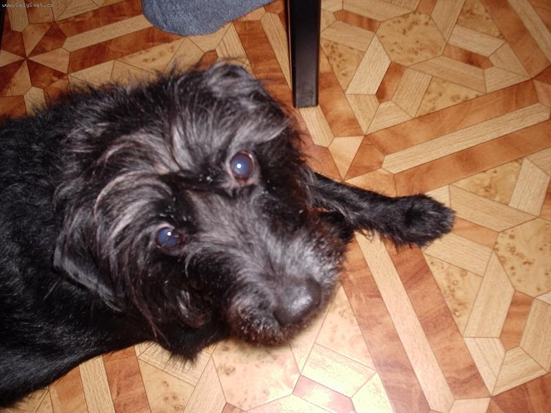 Foto: Samík:)-Dnes nemám zrovna svůj den