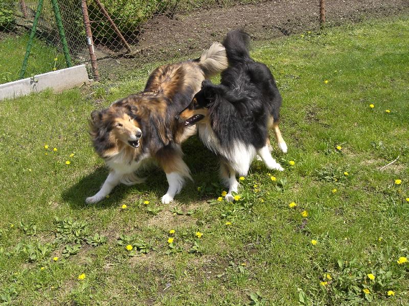 Foto: Ulvar a Beky-honička :-)))