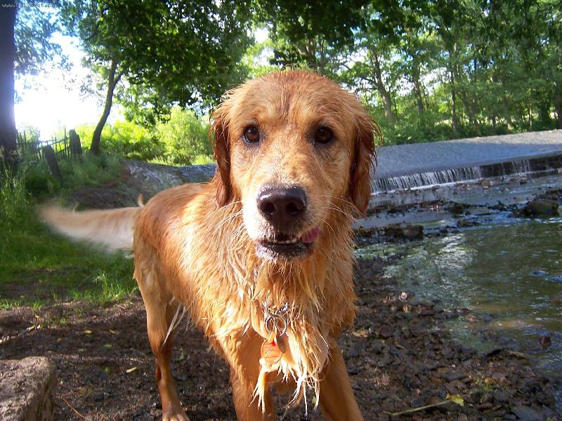 Foto: máš ručník?