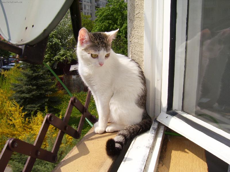 Foto: chci ven-Betyna v okně