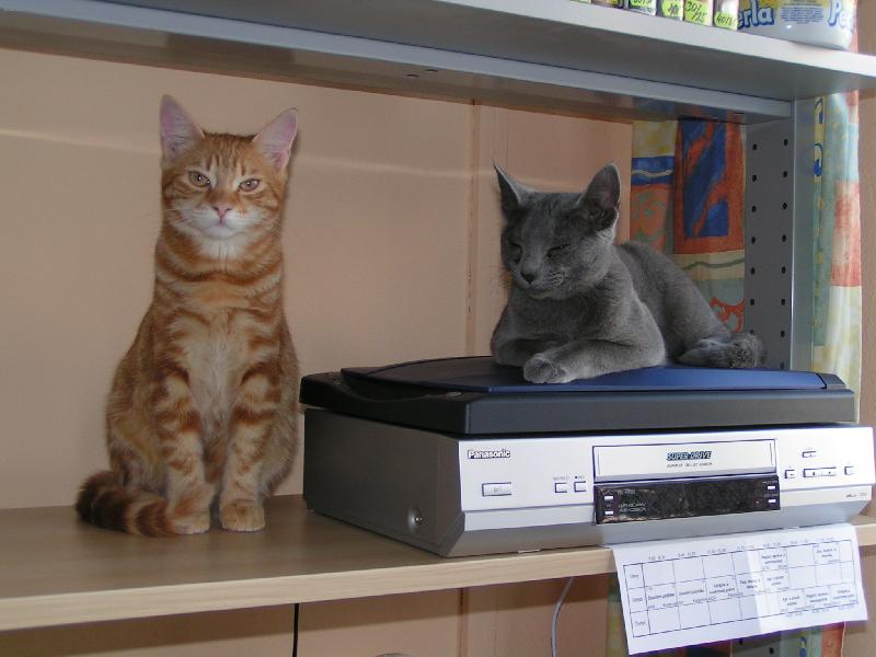 Foto: Cipísek a Jurášek-naši správci sítě