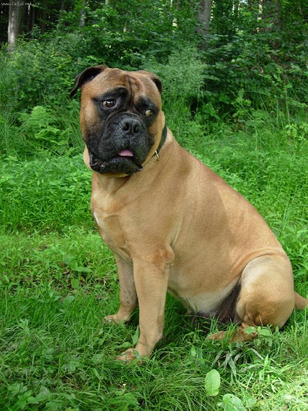 Foto: Costa Strážnický ráj-Drobeček