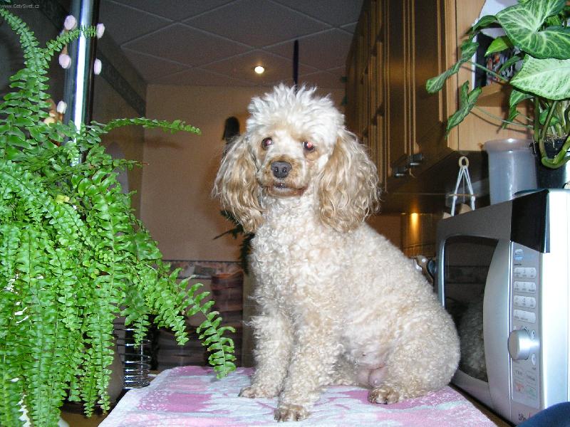 Foto: Náš miláček