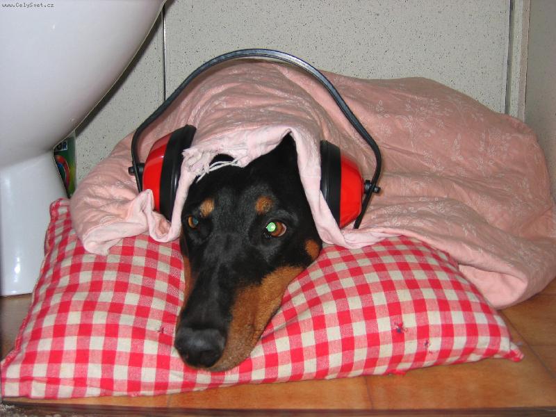 Foto: ať žije silvestr-tak takhle vítám Nový rok