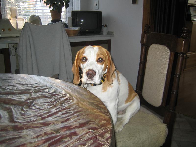 Foto: Alex-co bude dnes dobrého?