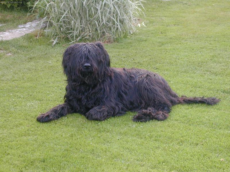 Foto: fakt vidím!!!