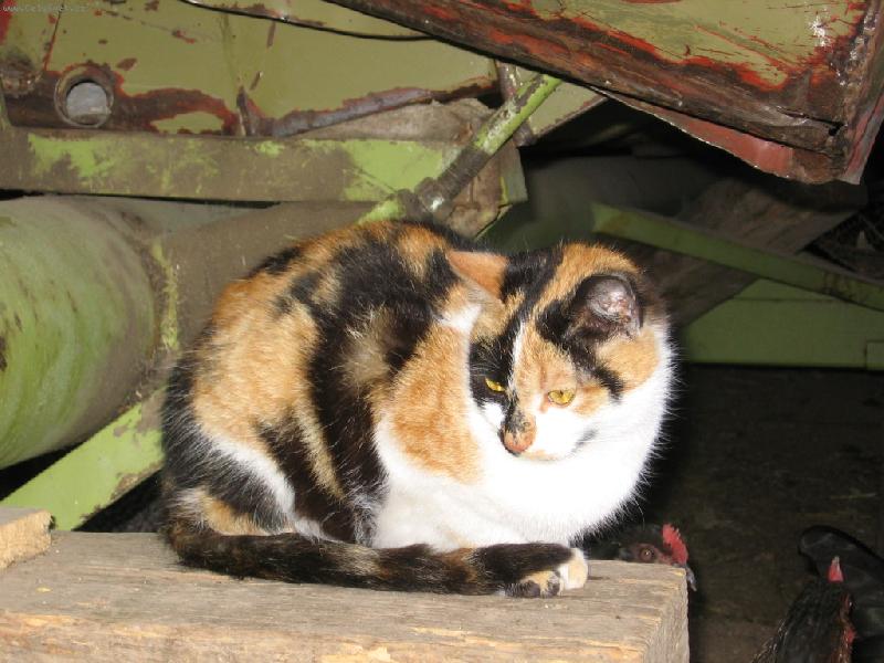 Foto: babiččina Lízinka-pohodička