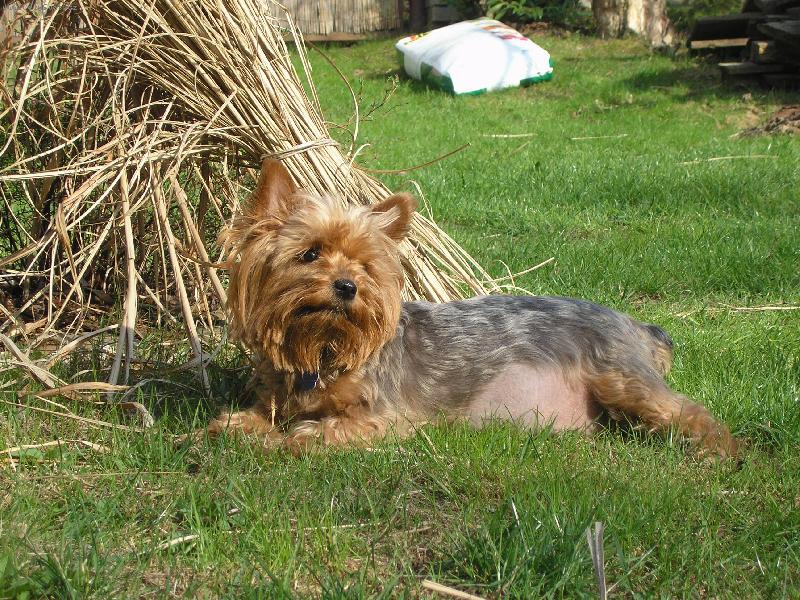 Foto: Peggynka-Lehárko  !!!!