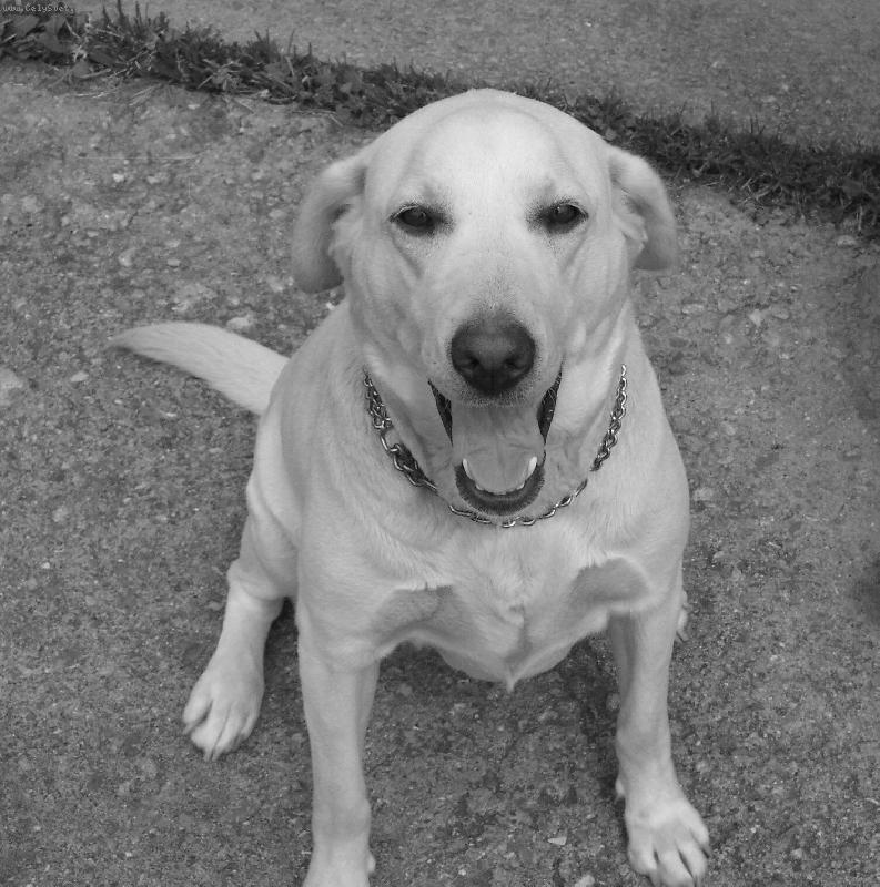 Foto: Nellynka-můj milášek