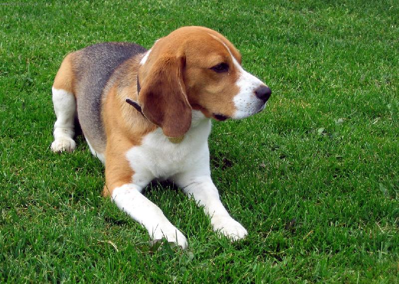 Foto: Na zahradě...