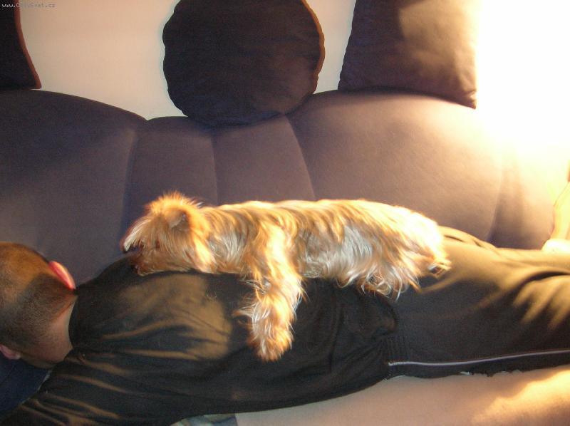 Foto: Molly a páníček-odpočinek