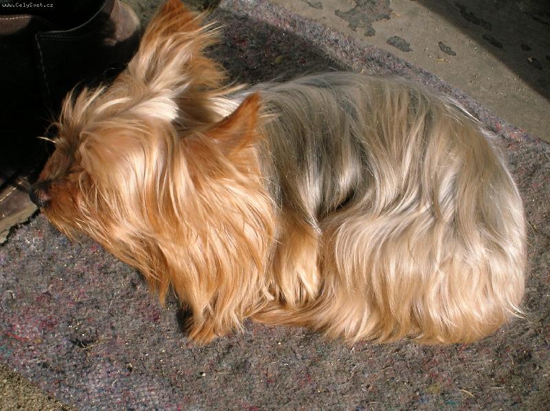 Foto: Maxíček-3roky