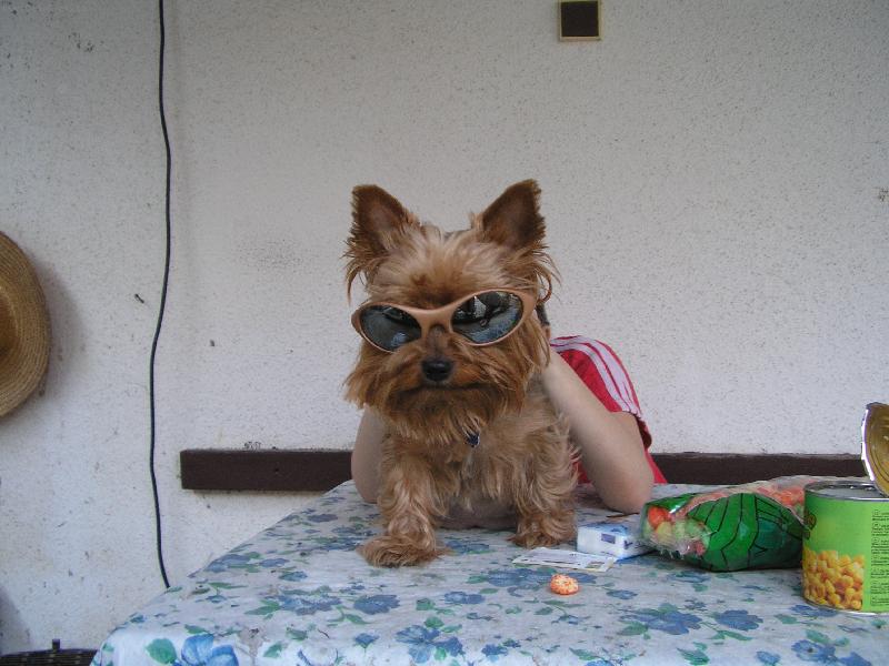 Foto: Peggynka-To koukáte !!! Já taky !!!