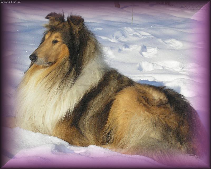 Foto: Maxík-V zimě