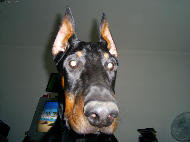 Foto: KUKU-Vykuk Vilík