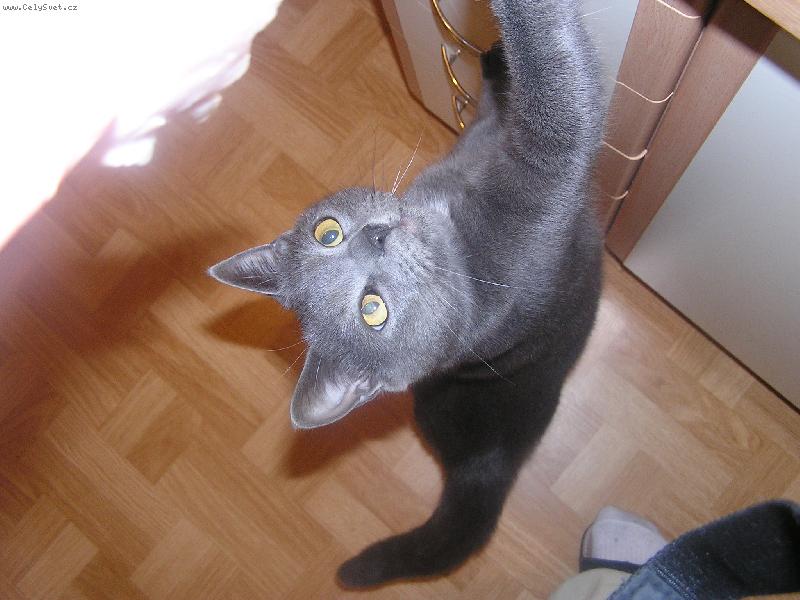 Foto: já chci taky...-Tomík