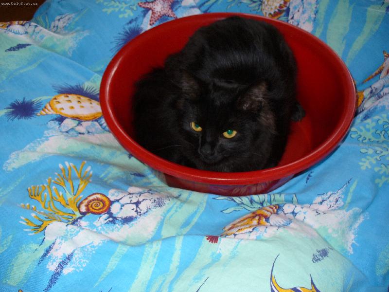 Foto: Mikeš-Pohodlné spaní