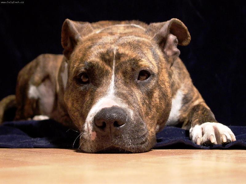 Foto: Už toho focení nech...