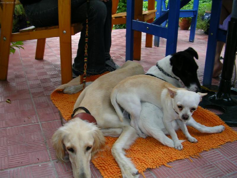 Foto: Annelee-Kudlanka nábožná