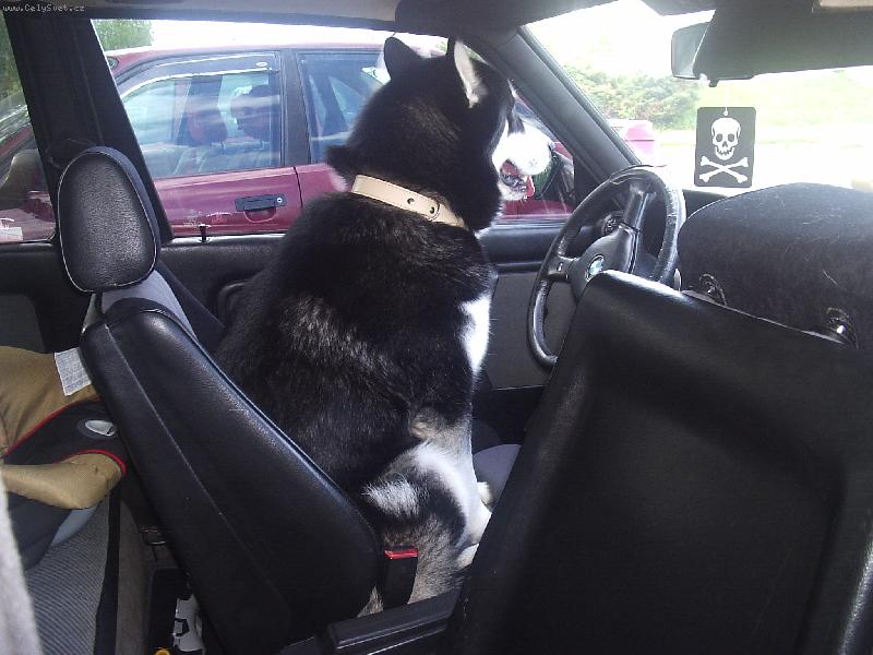 Foto: Lidičky nasedat,za chvíli vyjedu