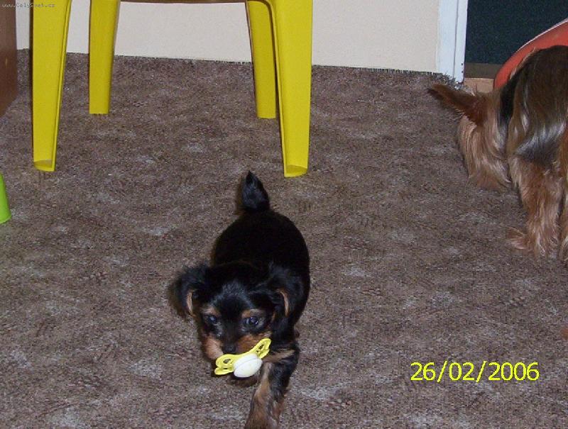 Foto: trdlo-vždyť jsem ještě miminko