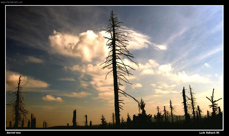 Foto: Jizerské hory