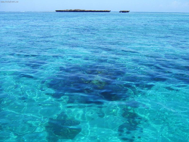 Foto: podvodní národní park-v oceánu