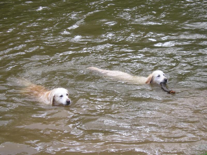 Foto: Dyna a Didi-Sourozenci na dovolené