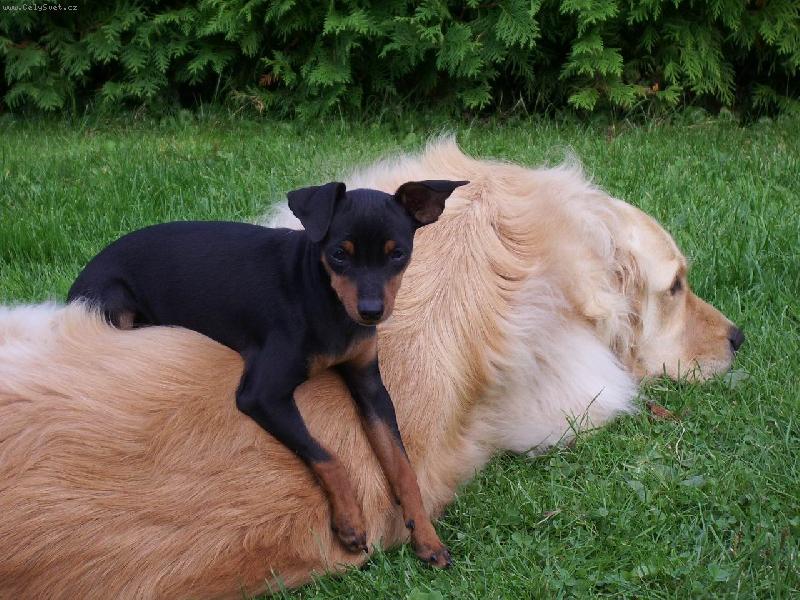 Foto: tady je moje místečko