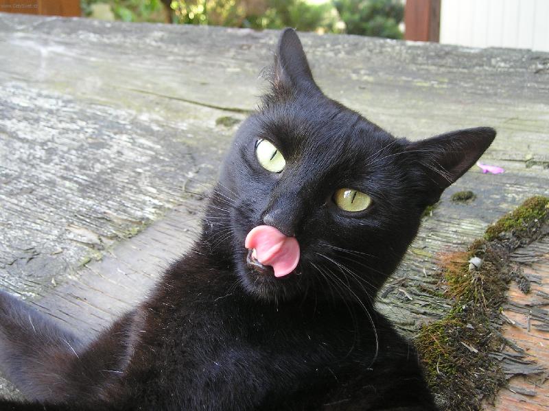 Foto: Sním tě..-Guru má hlad