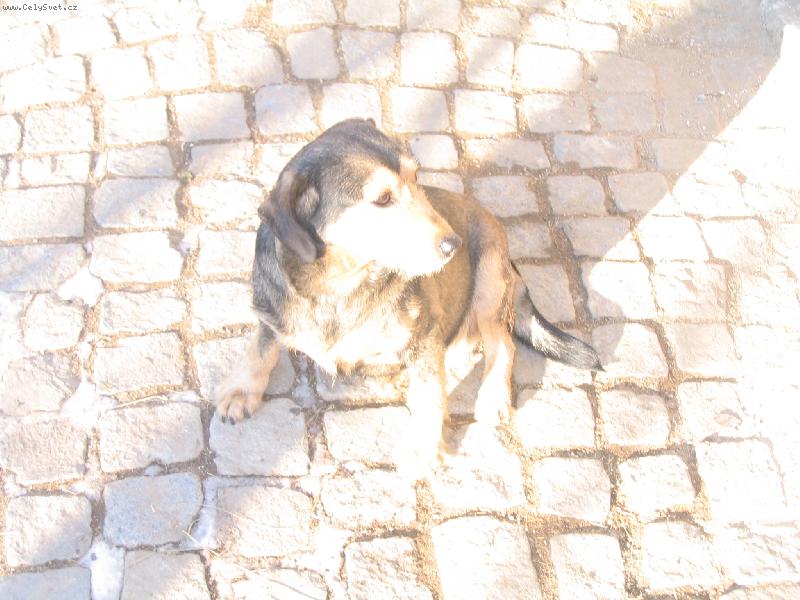 Foto: zimní sluníčko