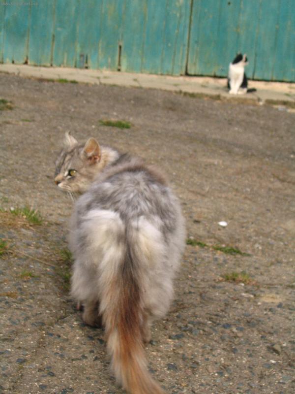 Foto: rozhádaný pár