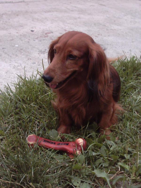 Foto: Alex-Bude si se mnou někdo hrát ??