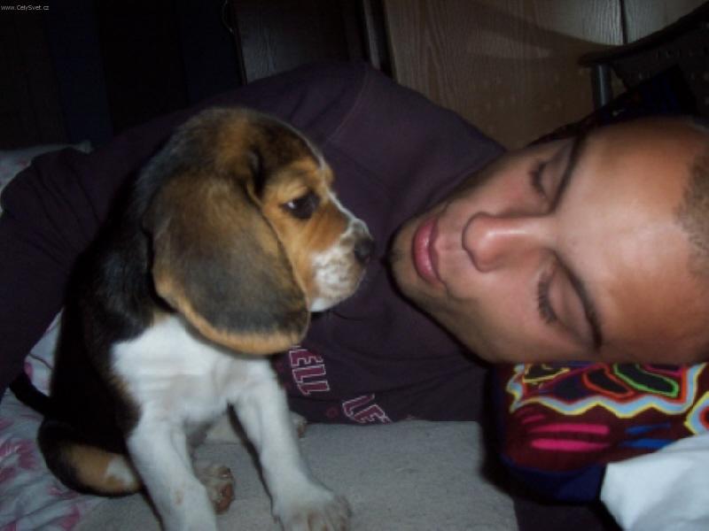 Foto: Proč na mě tak koukáš páníčku?